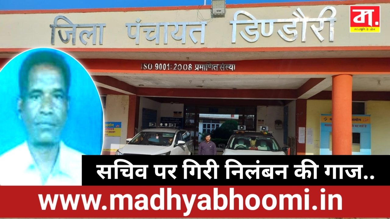 Dindori News: 13.59 लाख की पुलिया में गड़बड़ी, पंचायत सचिव पर गिरी निलंबन की गाज