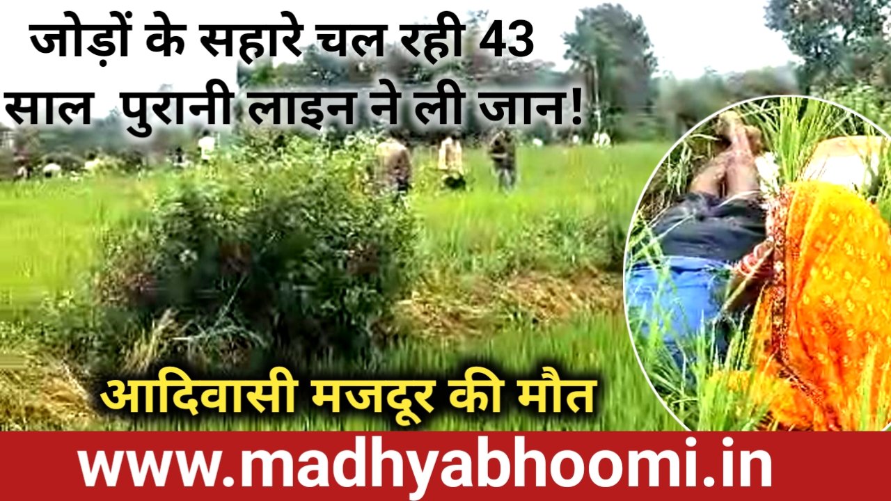 43 साल पुरानी 11 केवी लाइन बनी काल, खेत में काम कर रहे आदिवासी मजदूर की करंट से मौत 