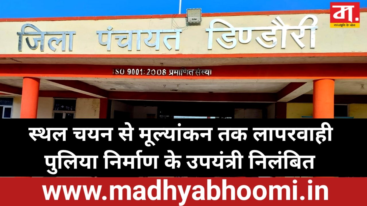 पुलिया निर्माण में स्थल चयन से मूल्यांकन तक लापरवाही : उपयंत्री पर गिरी निलंबन की गाज