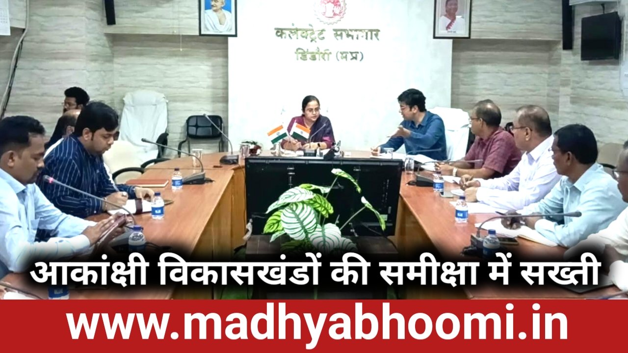 आकांक्षी विकासखंडों के 38 संकेतकों की समीक्षा, शत-प्रतिशत लक्ष्य हासिल करने पर जोर